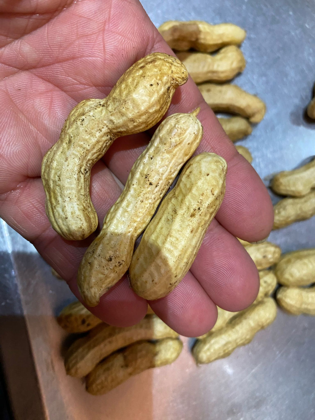 Fresh NZ Grown Heirloom Raw Peanut