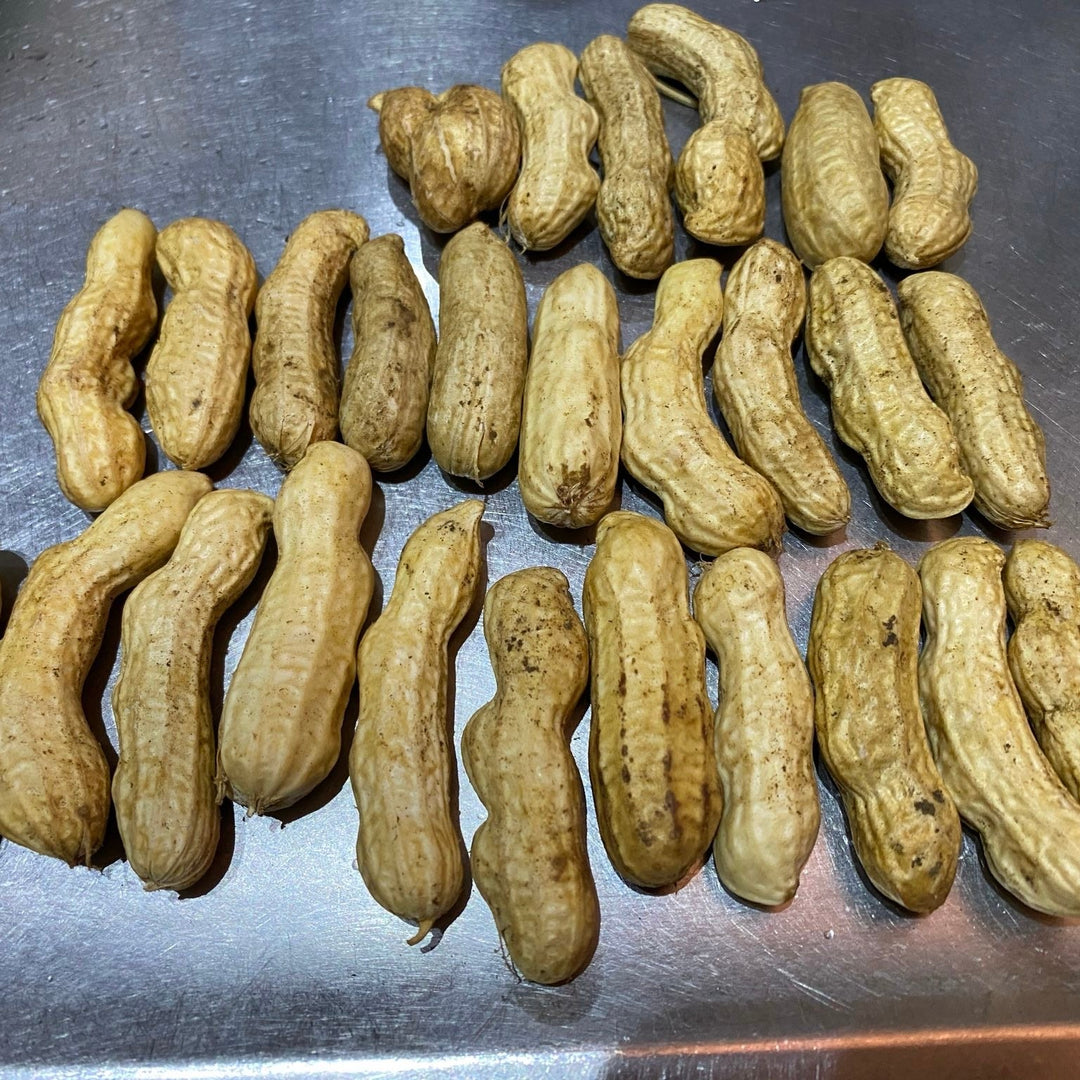 Fresh NZ Grown Heirloom Raw PeanutFresh NZ Grown Heirloom Raw Peanut