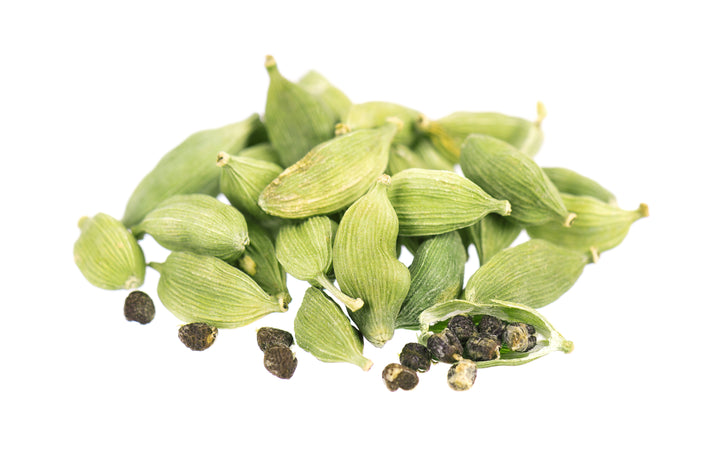 True Cardamon Plant