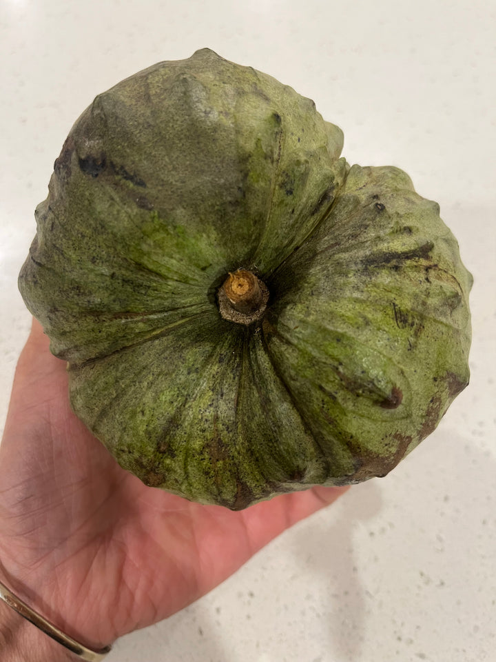 Fresh NZ Grown Cherimoya