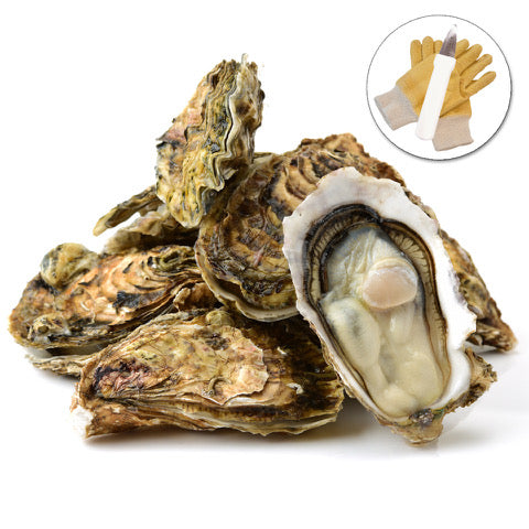 Oyster Deal - Fresh Full Shell Oysters + Victory Knife + Gloves