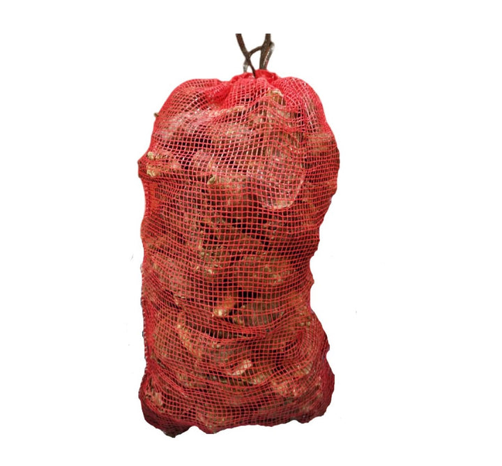 Oyster Deal - Fresh Full Shell Oysters + Victory Knife + Gloves