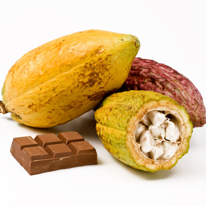 Cacao Seeds - Pack of 3