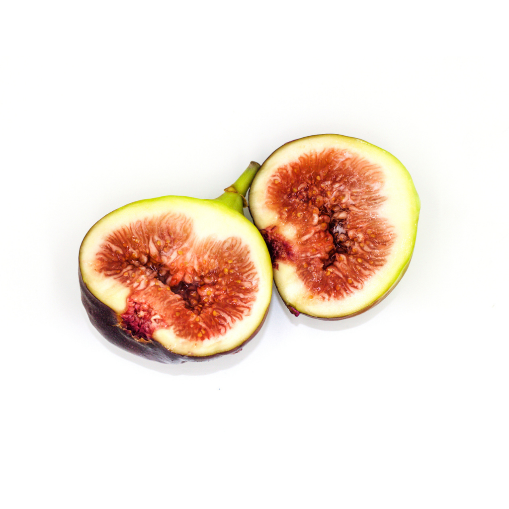 Brown Turkey Fig