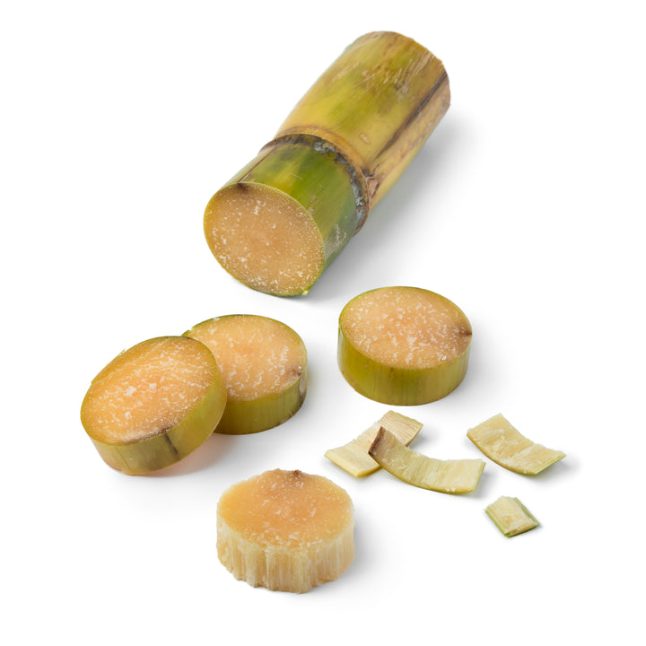 Sugar Cane Plants