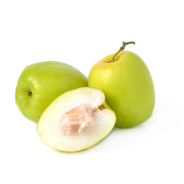 Jujube Plant